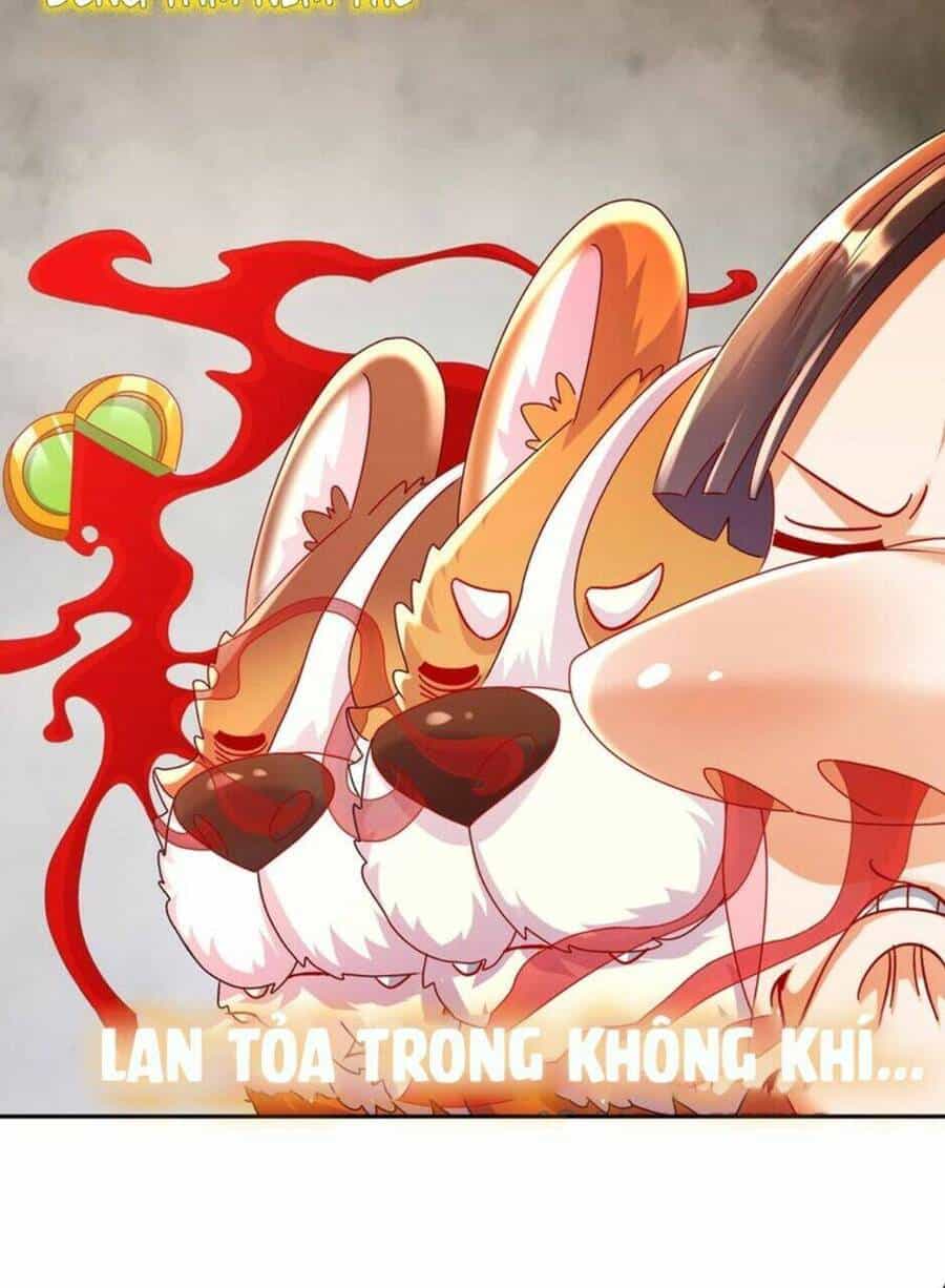 Tuyệt Sắc Đạo Lữ Đều Nói Ngô Hoàng Thể Chất Vô Địch - Chương 61 - ảnh 31