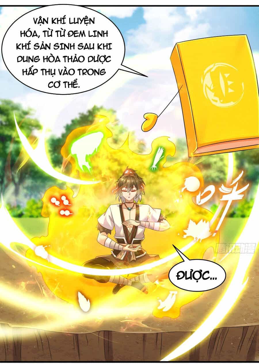 Tuyệt Sắc Đạo Lữ Đều Nói Ngô Hoàng Thể Chất Vô Địch - Chương 7 - ảnh 19