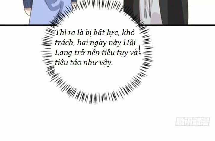 Tuyệt Sắc Quyến Rũ: Quỷ Y Chí Tôn - Chương 91 - ảnh 40