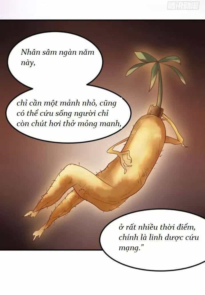 Tuyệt Sắc Quyến Rũ: Quỷ Y Chí Tôn - Chương 103 - ảnh 9