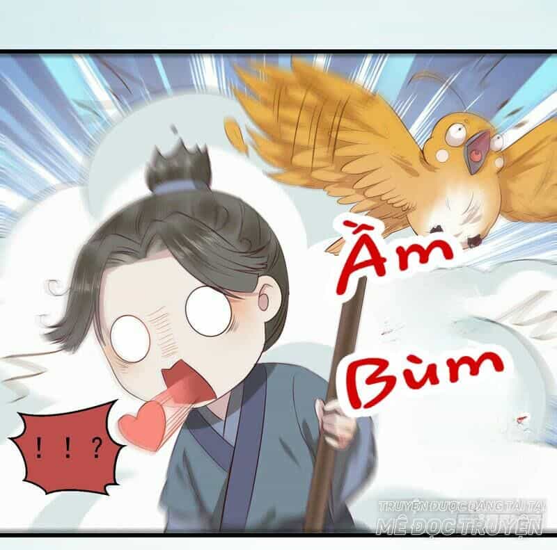 Tuyệt Sắc Quyến Rũ: Quỷ Y Chí Tôn - Chương 148 - ảnh 21