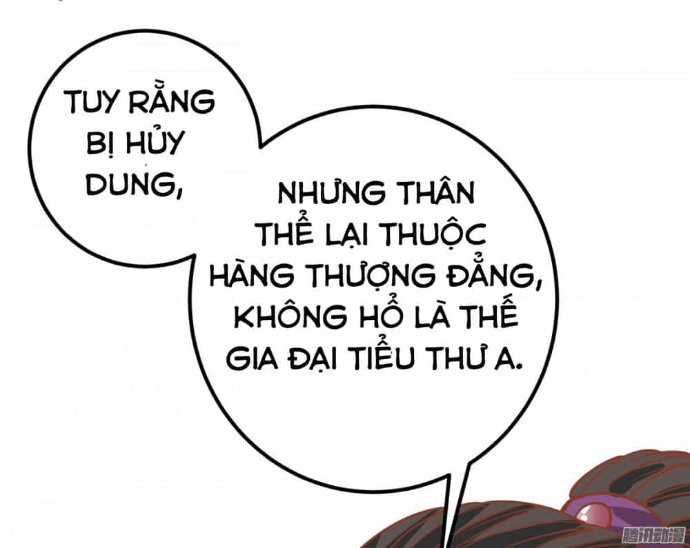 Tuyệt Sắc Quyến Rũ: Quỷ Y Chí Tôn - Chương 1.1 - ảnh 17