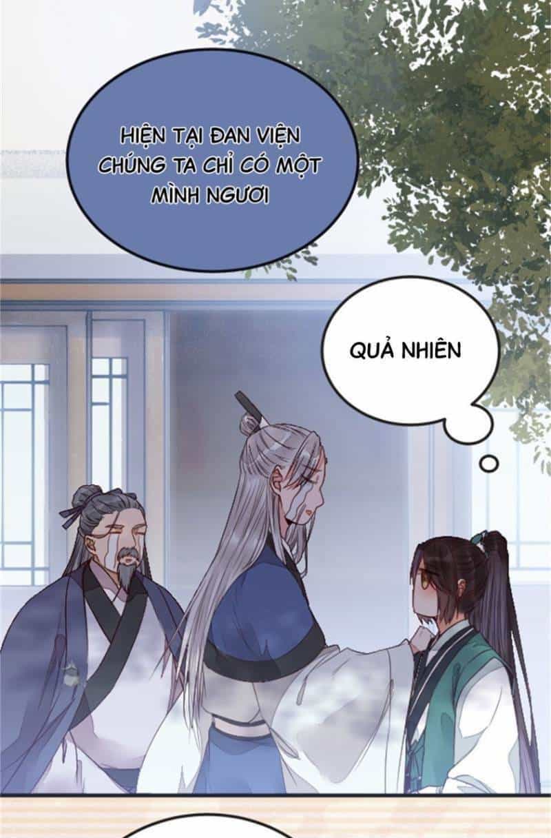 Tuyệt Sắc Quyến Rũ: Quỷ Y Chí Tôn - Chương 239 - ảnh 9