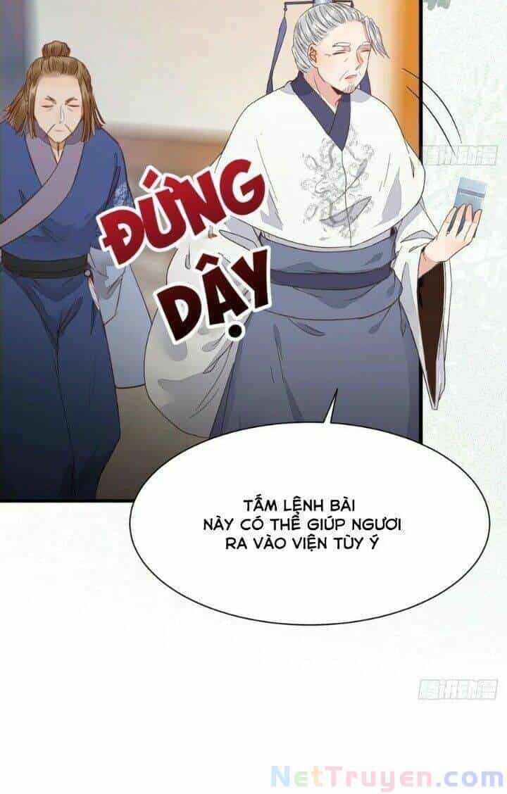 Tuyệt Sắc Quyến Rũ: Quỷ Y Chí Tôn - Chương 272 - ảnh 17