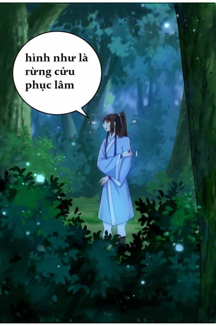 Tuyệt Sắc Quyến Rũ: Quỷ Y Chí Tôn - Chương 28 - ảnh 7