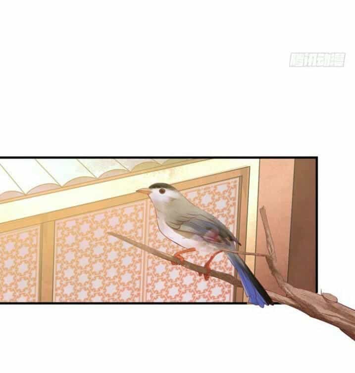 Tuyệt Sắc Quyến Rũ: Quỷ Y Chí Tôn - Chương 31 - ảnh 43