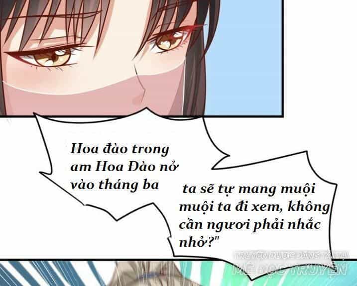 Tuyệt Sắc Quyến Rũ: Quỷ Y Chí Tôn - Chương 33 - ảnh 26