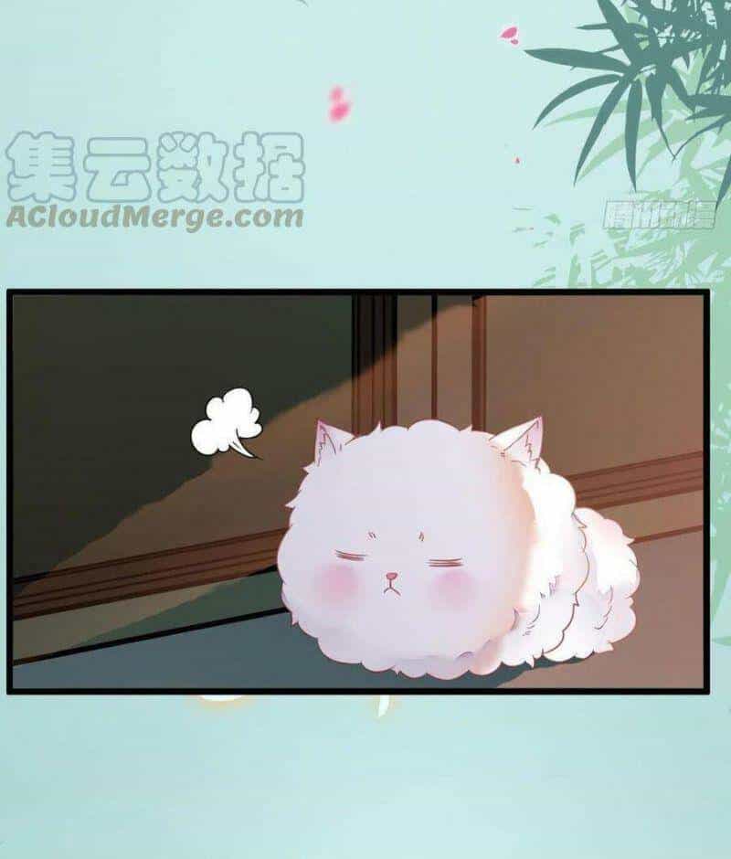 Tuyệt Sắc Quyến Rũ: Quỷ Y Chí Tôn - Chương 376 - ảnh 37
