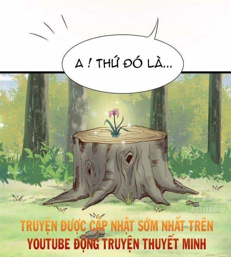 Tuyệt Sắc Quyến Rũ: Quỷ Y Chí Tôn - Chương 422 - ảnh 28
