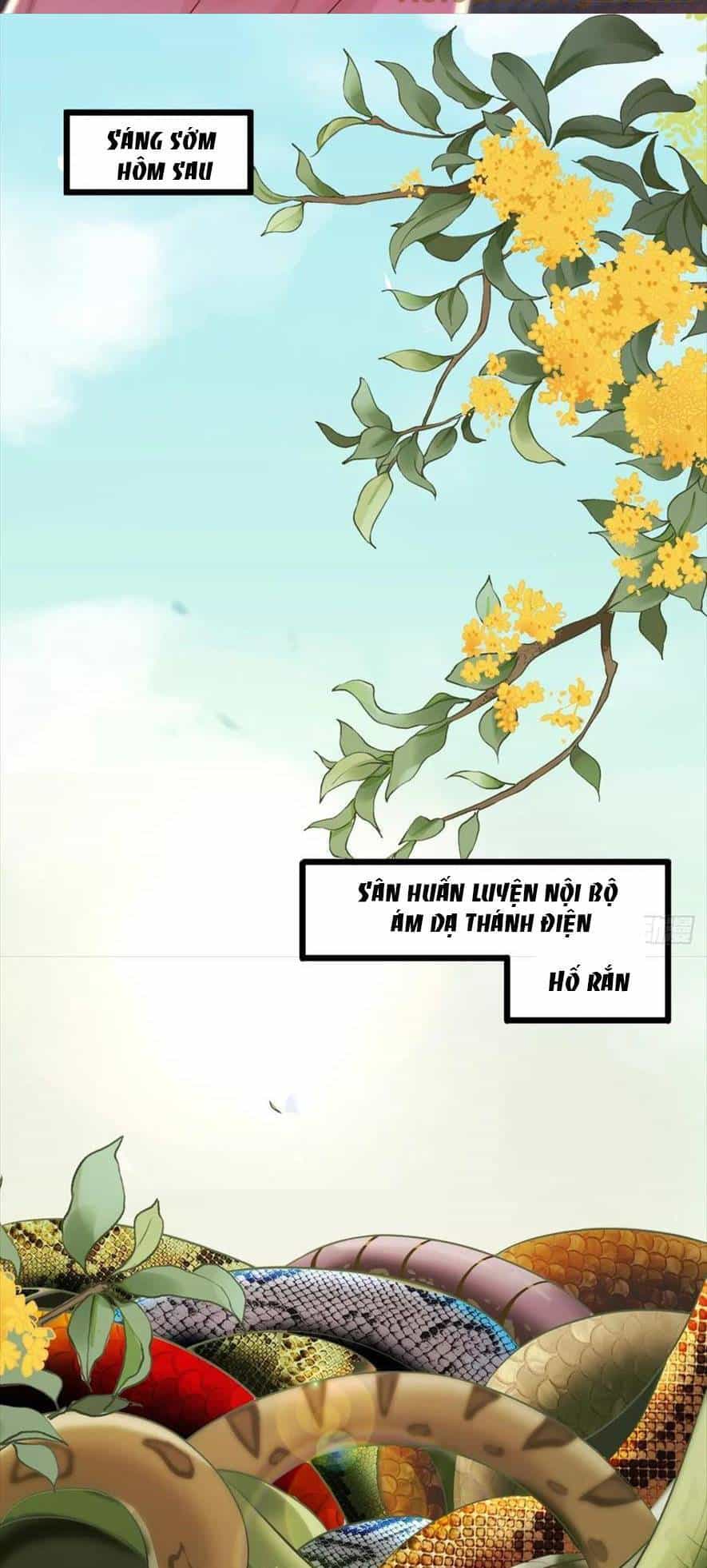 Tuyệt Sắc Quyến Rũ: Quỷ Y Chí Tôn - Chương 554 - ảnh 3