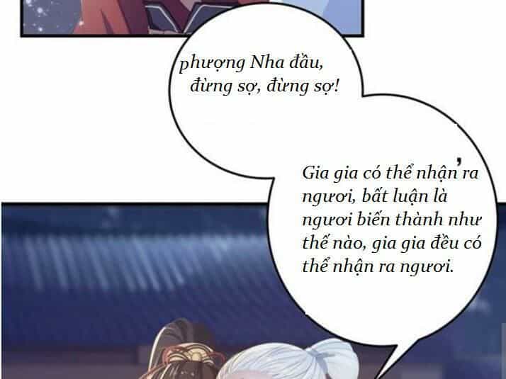 Tuyệt Sắc Quyến Rũ: Quỷ Y Chí Tôn - Chương 61 - ảnh 25
