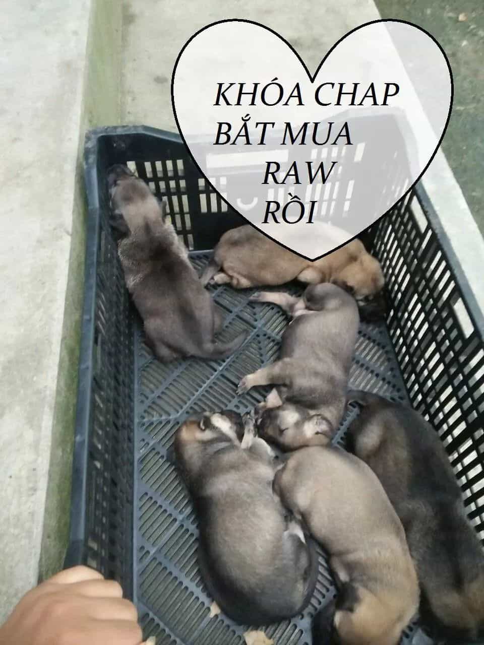 Tuyệt Sắc Quyến Rũ: Quỷ Y Chí Tôn - Chương 82 - ảnh 50