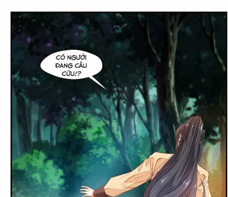 Tuyệt Thế Đế Tôn - Chương 11 - ảnh 1