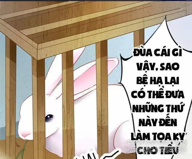Tuyệt Thế Luyện Đan Sư - Chương 10 - ảnh 6