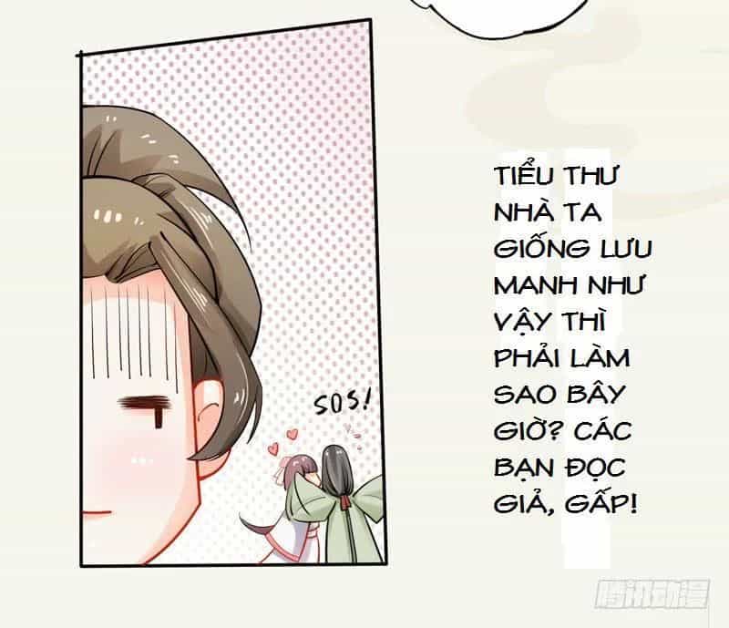 Tuyệt Thế Luyện Đan Sư - Chương 13 - ảnh 25