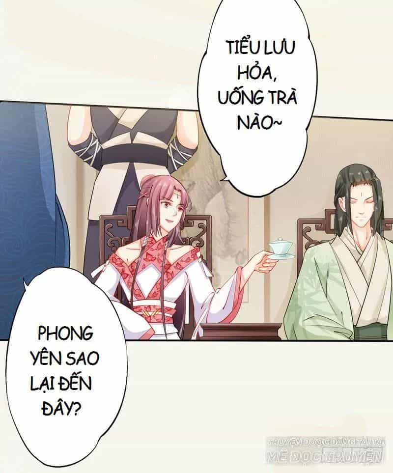 Tuyệt Thế Luyện Đan Sư - Chương 13 - ảnh 6