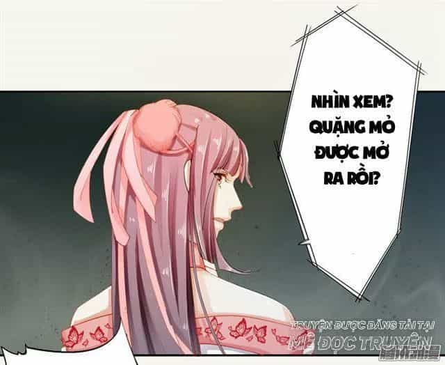 Tuyệt Thế Luyện Đan Sư - Chương 15 - ảnh 36