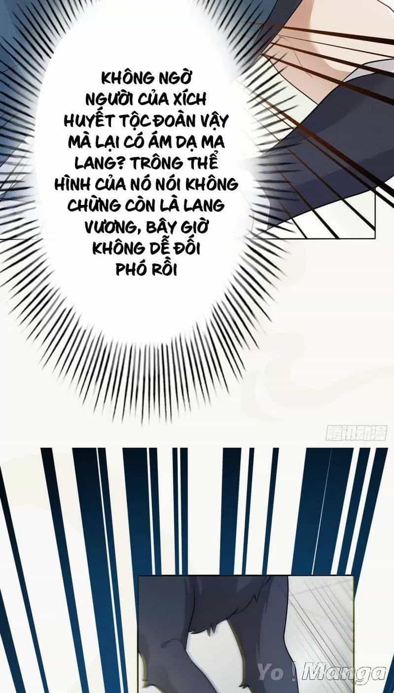 Tuyệt Thế Luyện Đan Sư - Chương 153 - ảnh 26