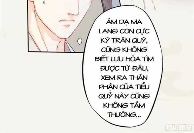 Tuyệt Thế Luyện Đan Sư - Chương 17 - ảnh 30