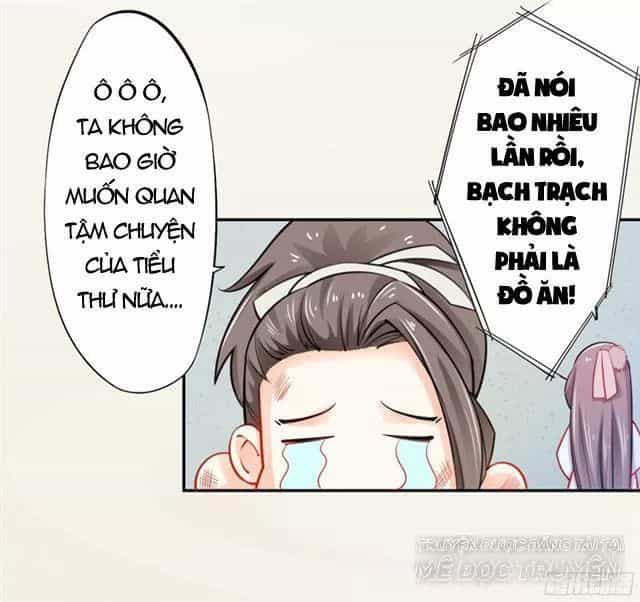 Tuyệt Thế Luyện Đan Sư - Chương 17 - ảnh 36