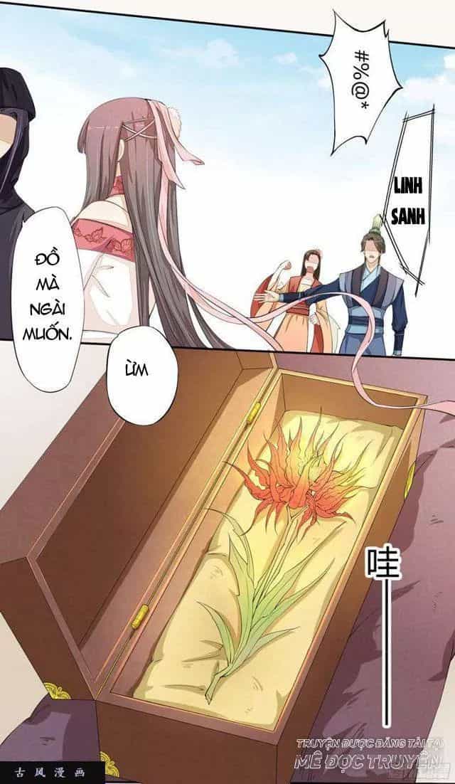 Tuyệt Thế Luyện Đan Sư - Chương 23 - ảnh 26
