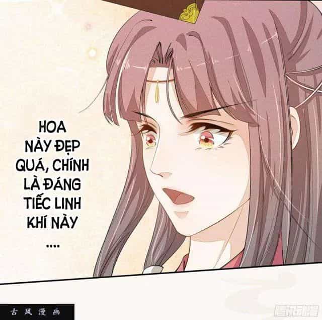 Tuyệt Thế Luyện Đan Sư - Chương 23 - ảnh 27