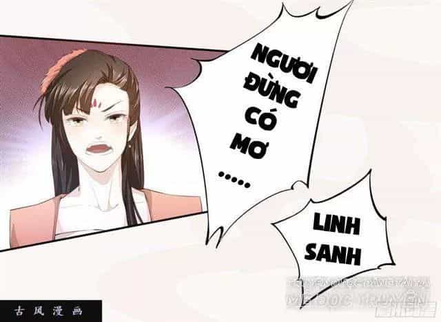 Tuyệt Thế Luyện Đan Sư - Chương 24 - ảnh 6