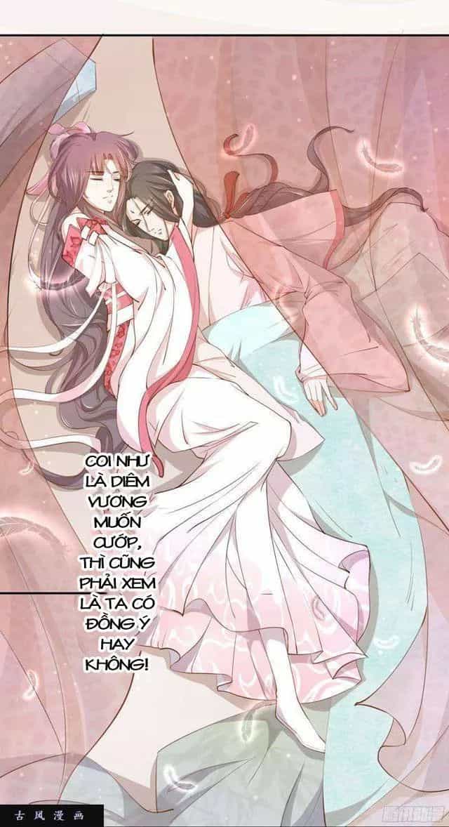 Tuyệt Thế Luyện Đan Sư - Chương 26 - ảnh 22