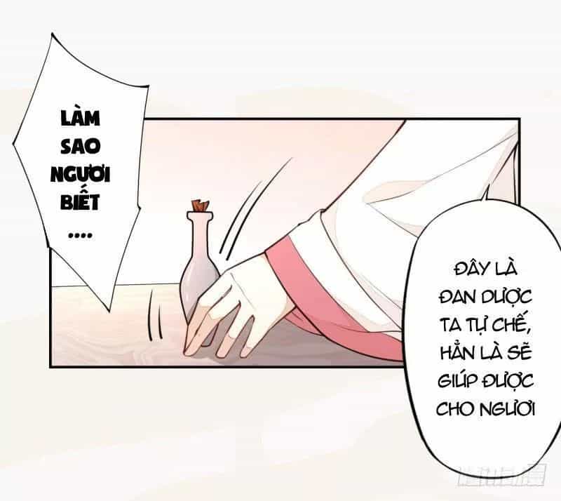 Tuyệt Thế Luyện Đan Sư - Chương 32 - ảnh 15