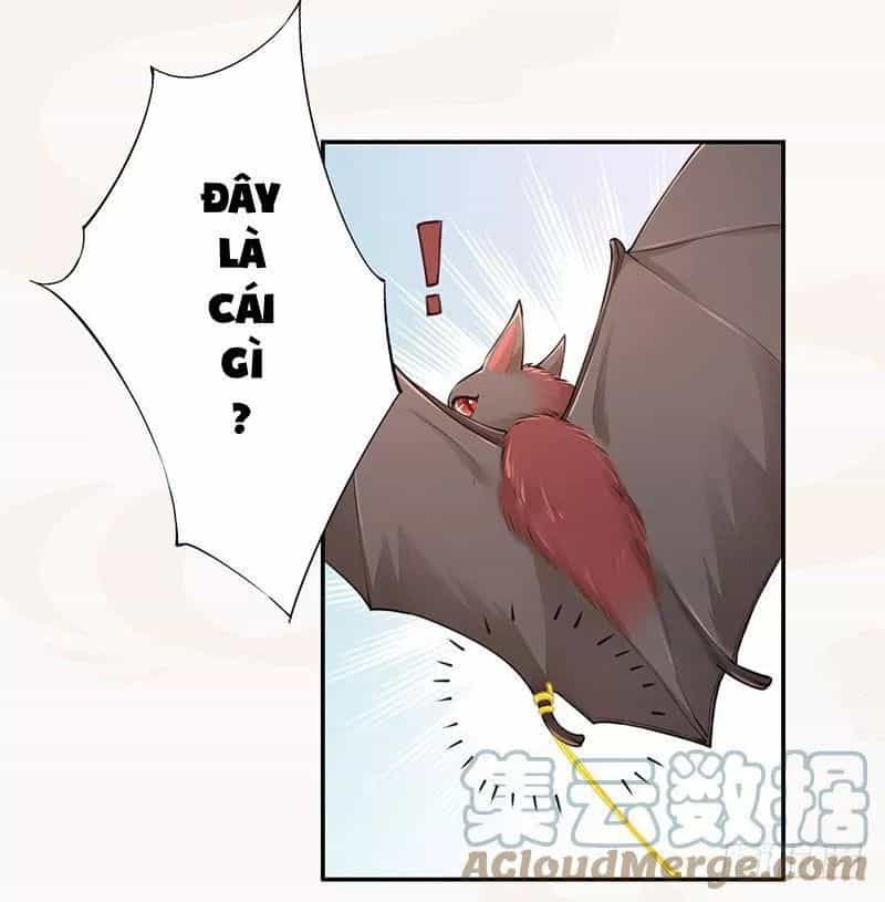 Tuyệt Thế Luyện Đan Sư - Chương 34 - ảnh 18