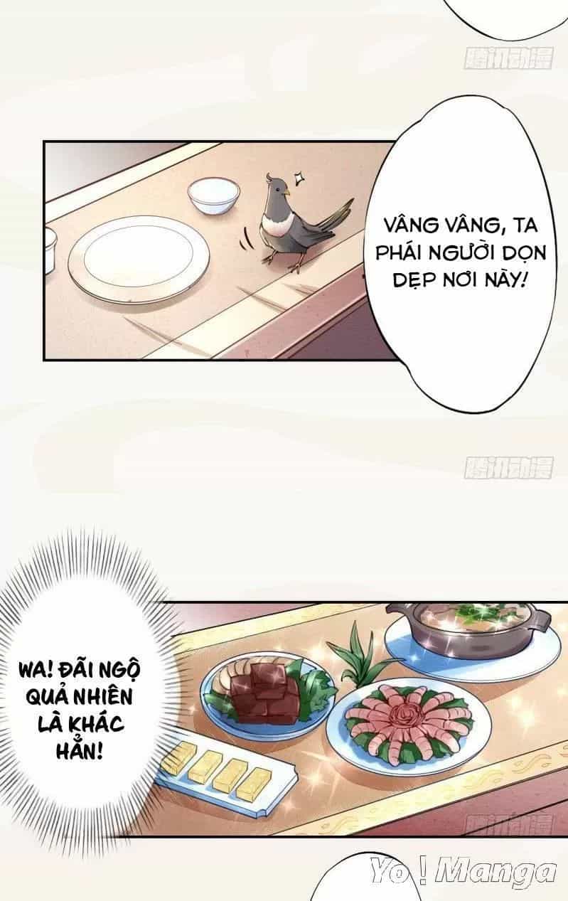 Tuyệt Thế Luyện Đan Sư - Chương 40 - ảnh 23