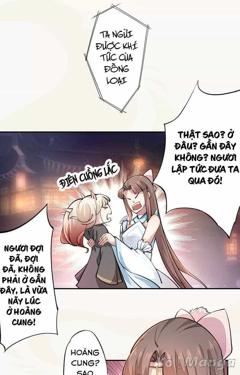 Tuyệt Thế Luyện Đan Sư - Chương 42 - ảnh 2