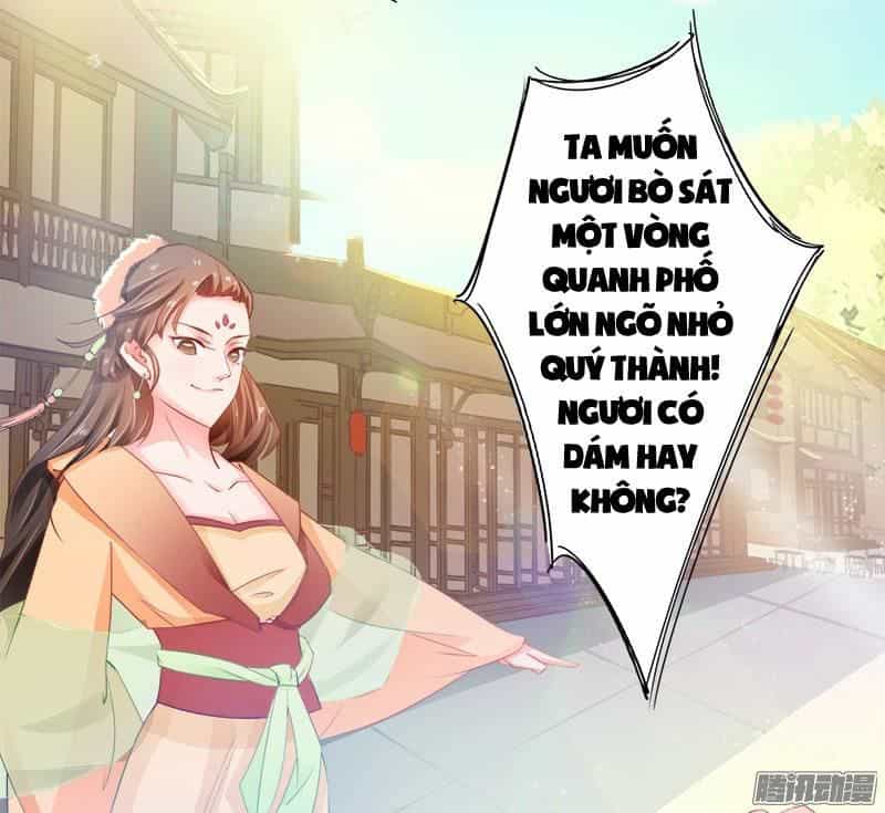 Tuyệt Thế Luyện Đan Sư - Chương 6 - ảnh 29