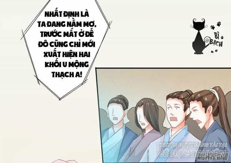 Tuyệt Thế Luyện Đan Sư - Chương 7 - ảnh 16