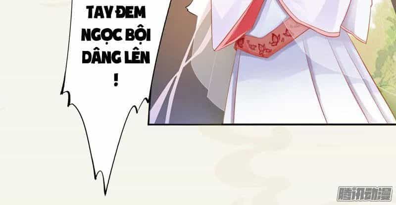 Tuyệt Thế Luyện Đan Sư - Chương 7 - ảnh 9