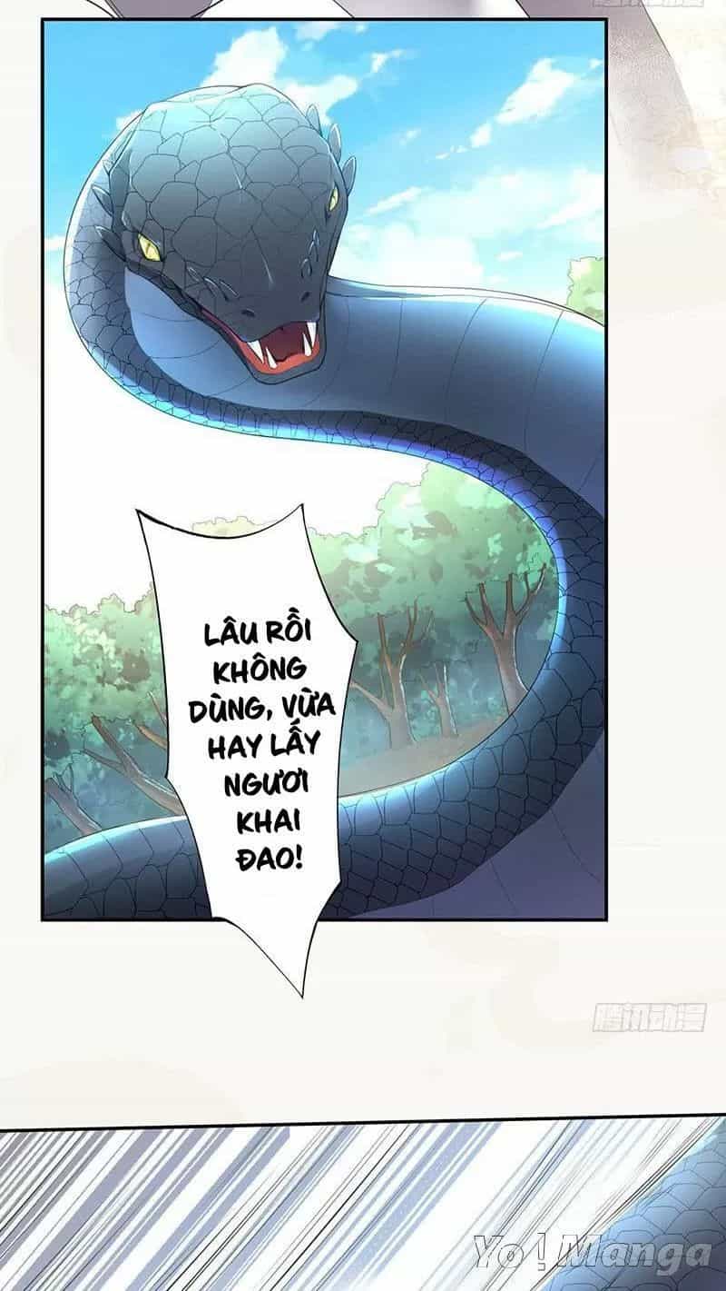 Tuyệt Thế Luyện Đan Sư - Chương 79 - ảnh 19