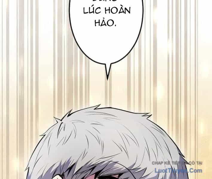 Tuyệt Thế Sát Thủ Hồi Quy Tại Học Viện - Chương 20 - ảnh 167