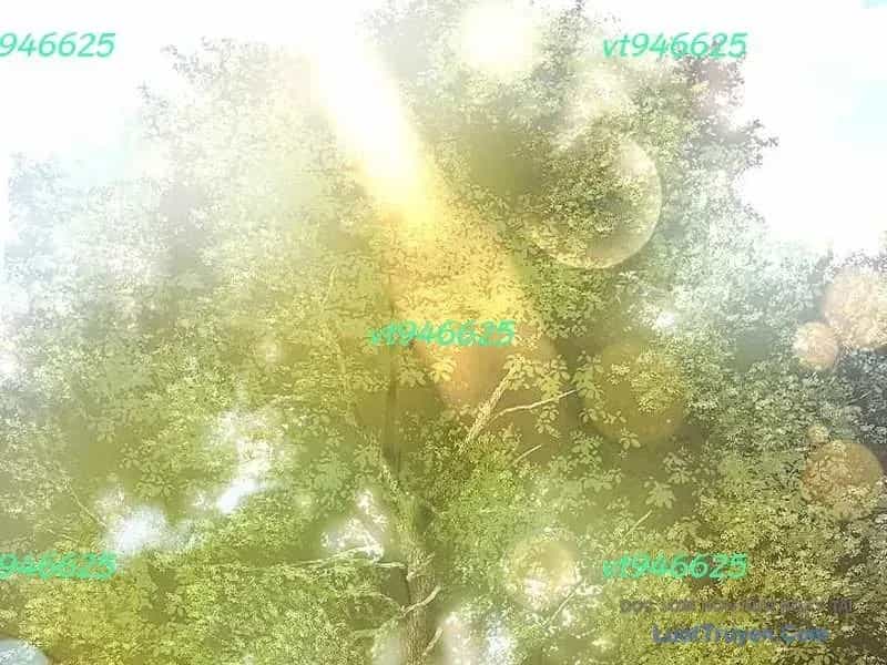 Tuyệt Thế Sát Thủ Hồi Quy Tại Học Viện - Chương 6 - ảnh 242