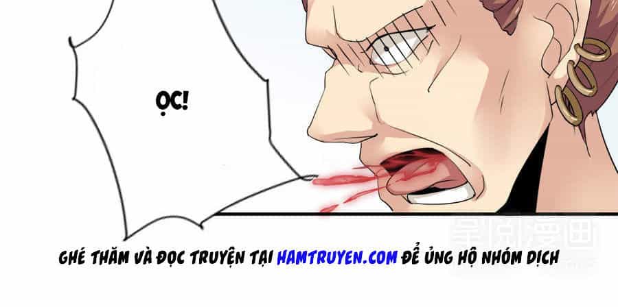 Tuyệt Thế Võ Hồn - Chương 11 - ảnh 12