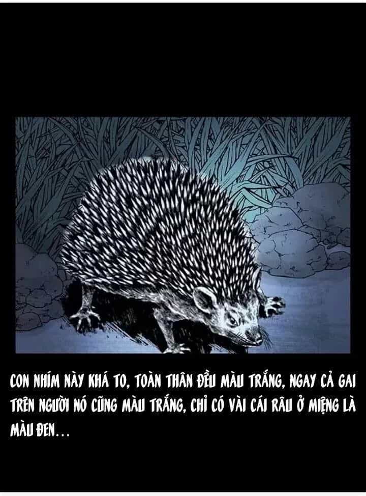 U Minh Ngụy Tượng - Chương 79 - ảnh 32