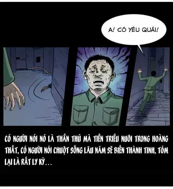 U Minh Ngụy Tượng - Chương 89 - ảnh 12