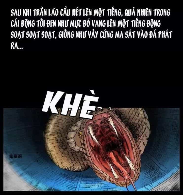 U Minh Ngụy Tượng - Chương 141 - ảnh 88
