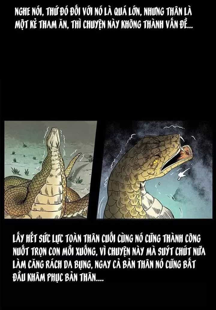 U Minh Ngụy Tượng - Chương 142 - ảnh 48