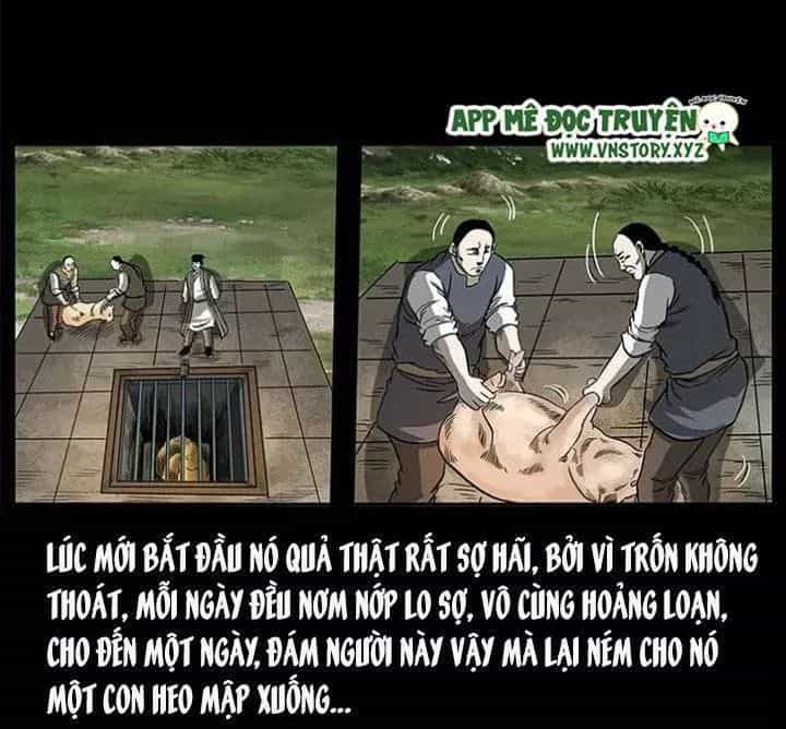 U Minh Ngụy Tượng - Chương 142 - ảnh 55