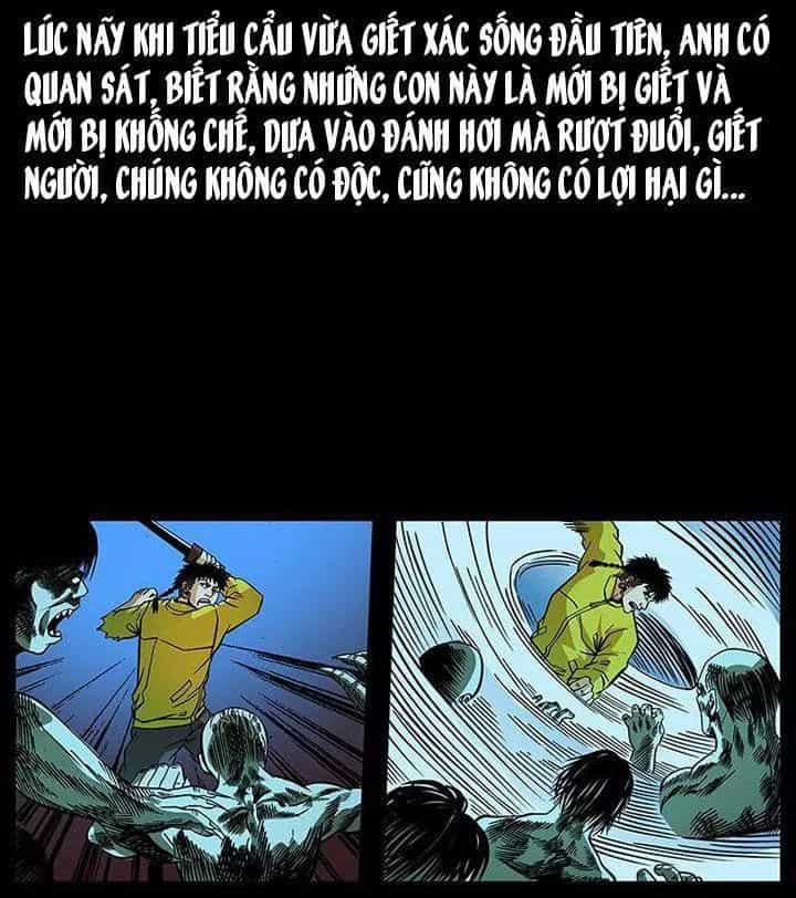 U Minh Ngụy Tượng - Chương 188 - ảnh 21
