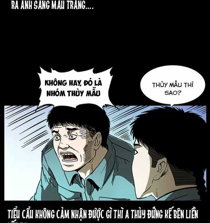 U Minh Ngụy Tượng - Chương 243 - ảnh 16