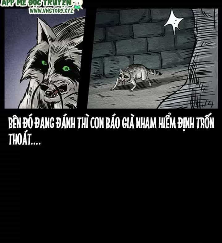 U Minh Ngụy Tượng - Chương 255 - ảnh 81