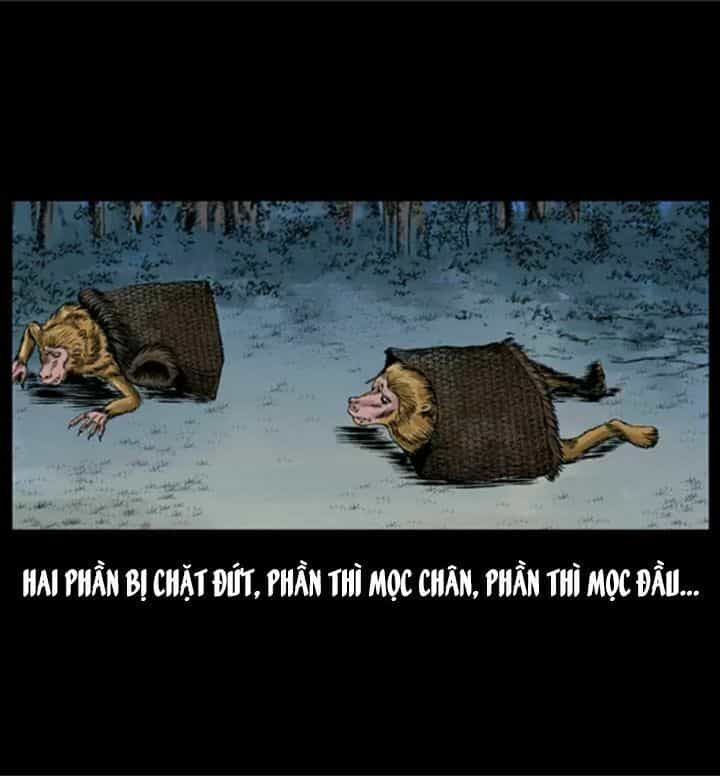 U Minh Ngụy Tượng - Chương 29 - ảnh 43
