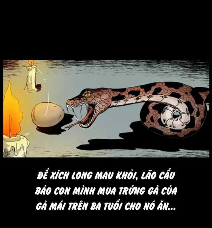 U Minh Ngụy Tượng - Chương 34 - ảnh 6