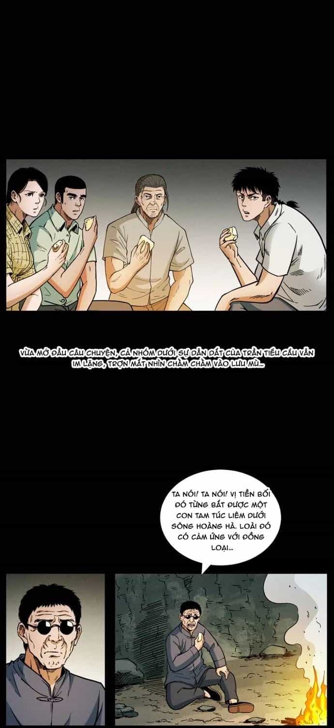 U Minh Ngụy Tượng - Chương 521 - ảnh 13